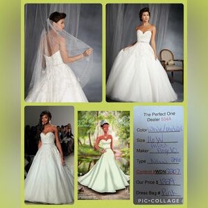Alfred Angelo : Disney Fairy Tale Bridal : 246 Tiana